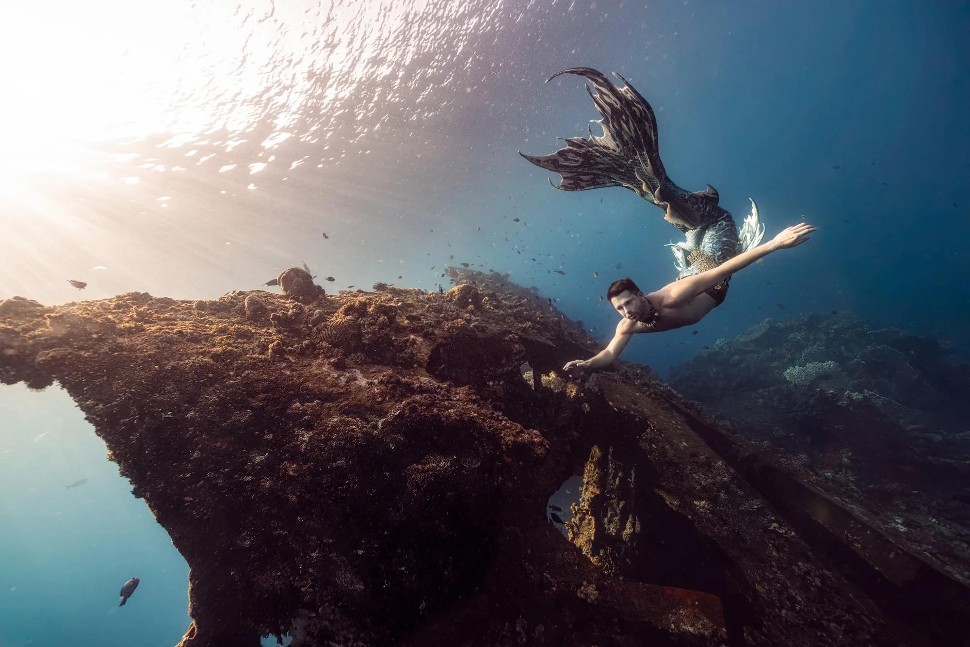 Photography: Mermaids: dsc04639 clean