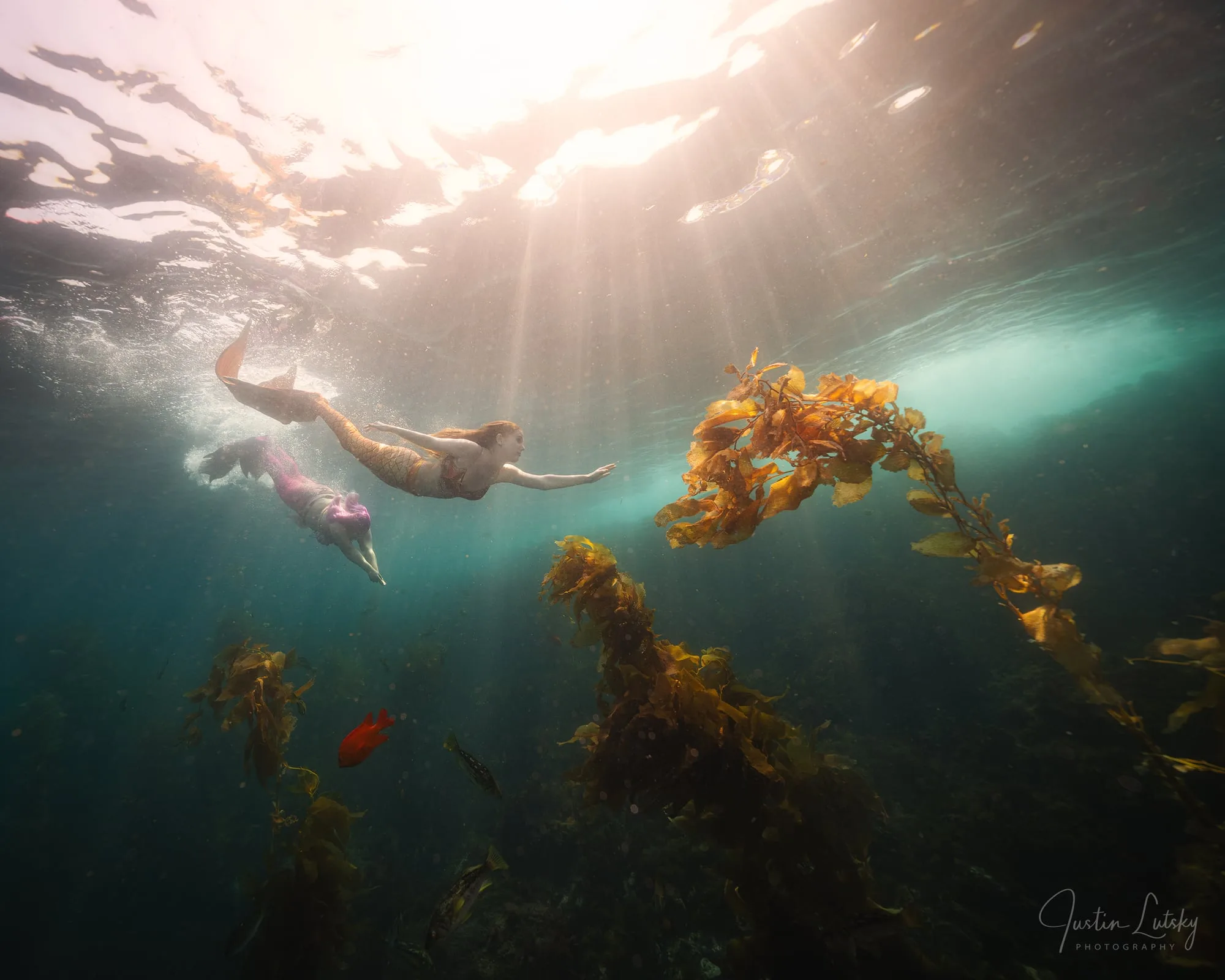 Photography: Mermaids: dsc03334 4k