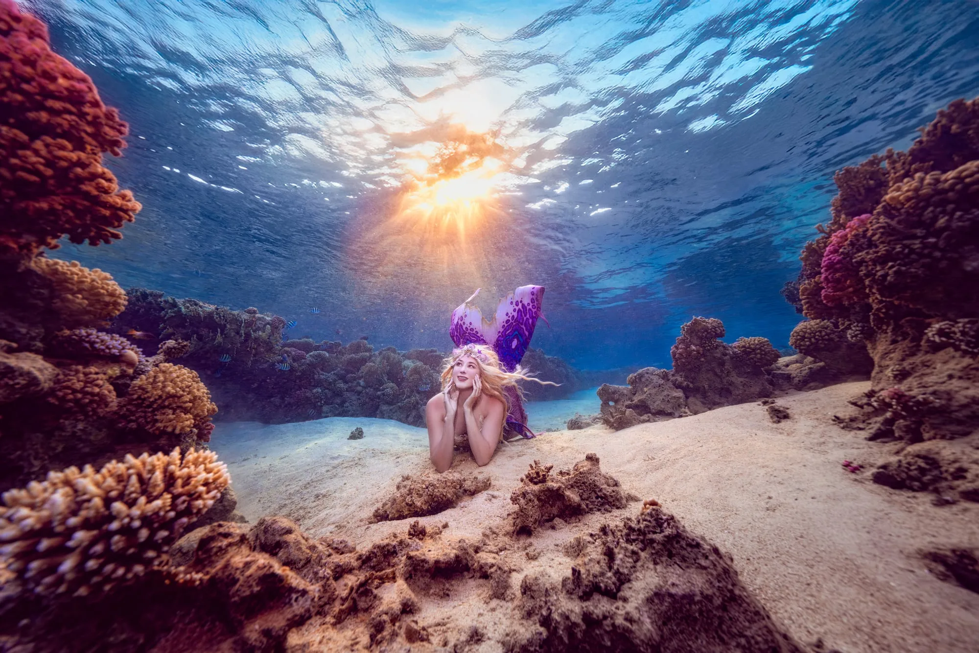 Photography: Mermaids: dsc00004 clean