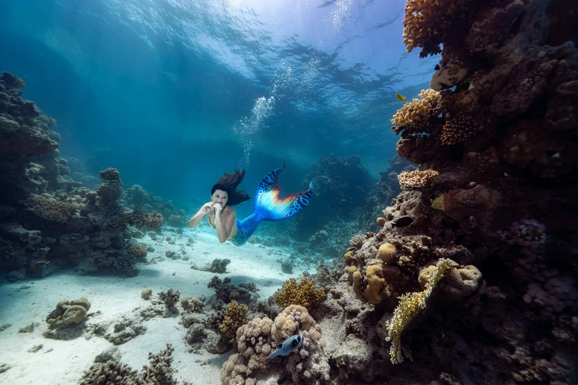 Photography: Mermaids: dsc00159 clean