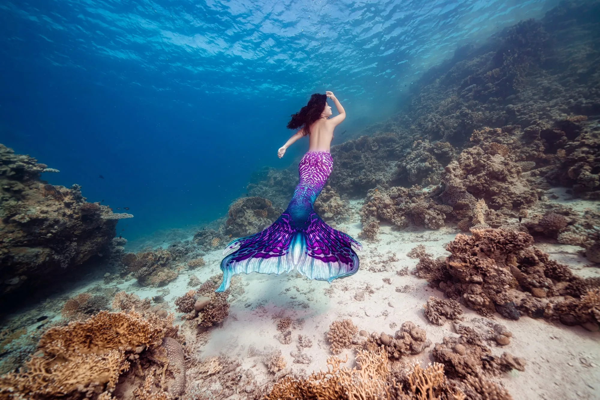 Photography: Mermaids: dsc09192 clean