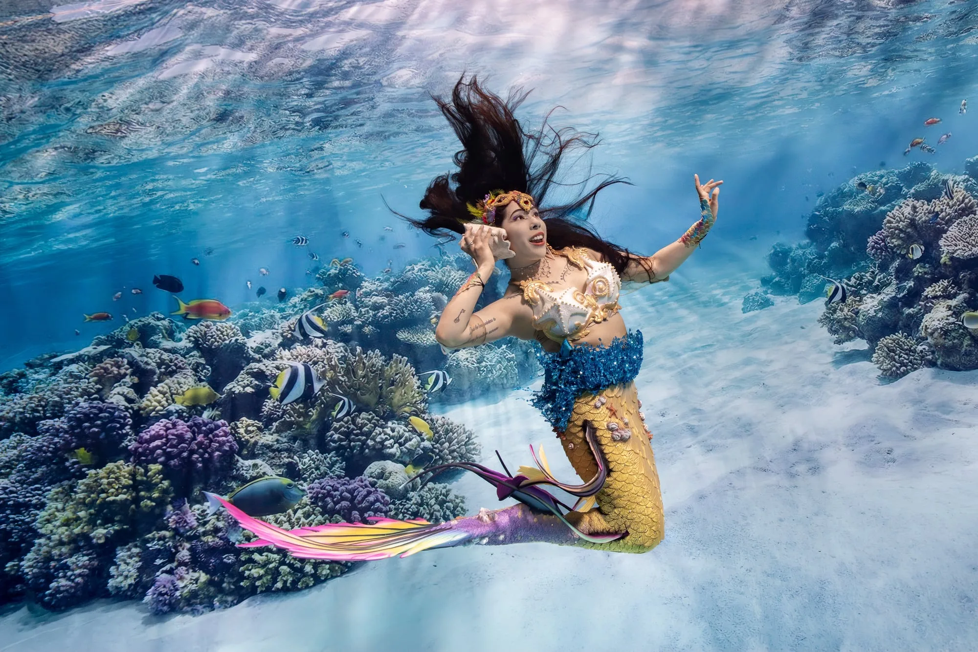 Photography: Mermaids: dsc06509