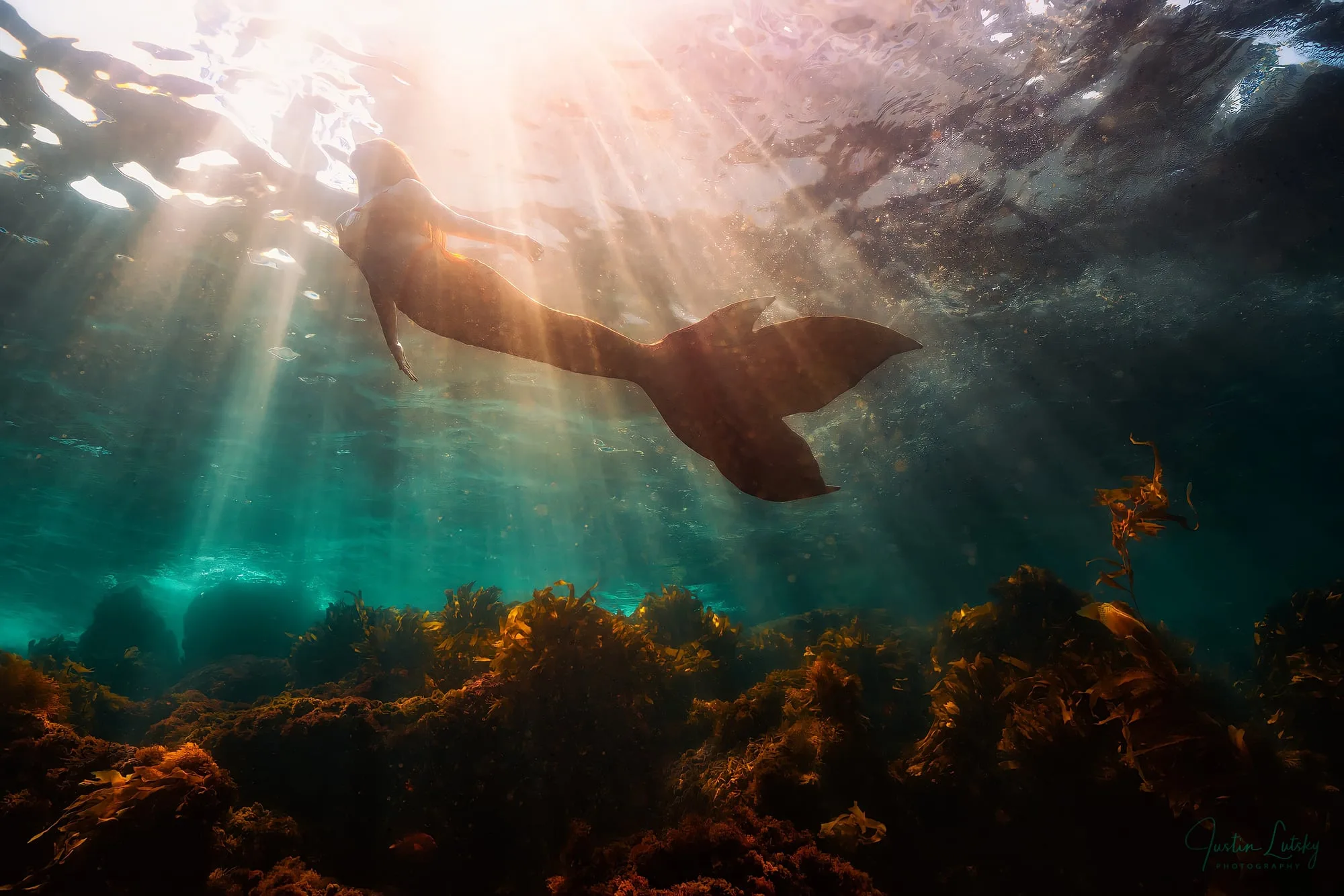Photography: Mermaids: dsc03397 4k remini