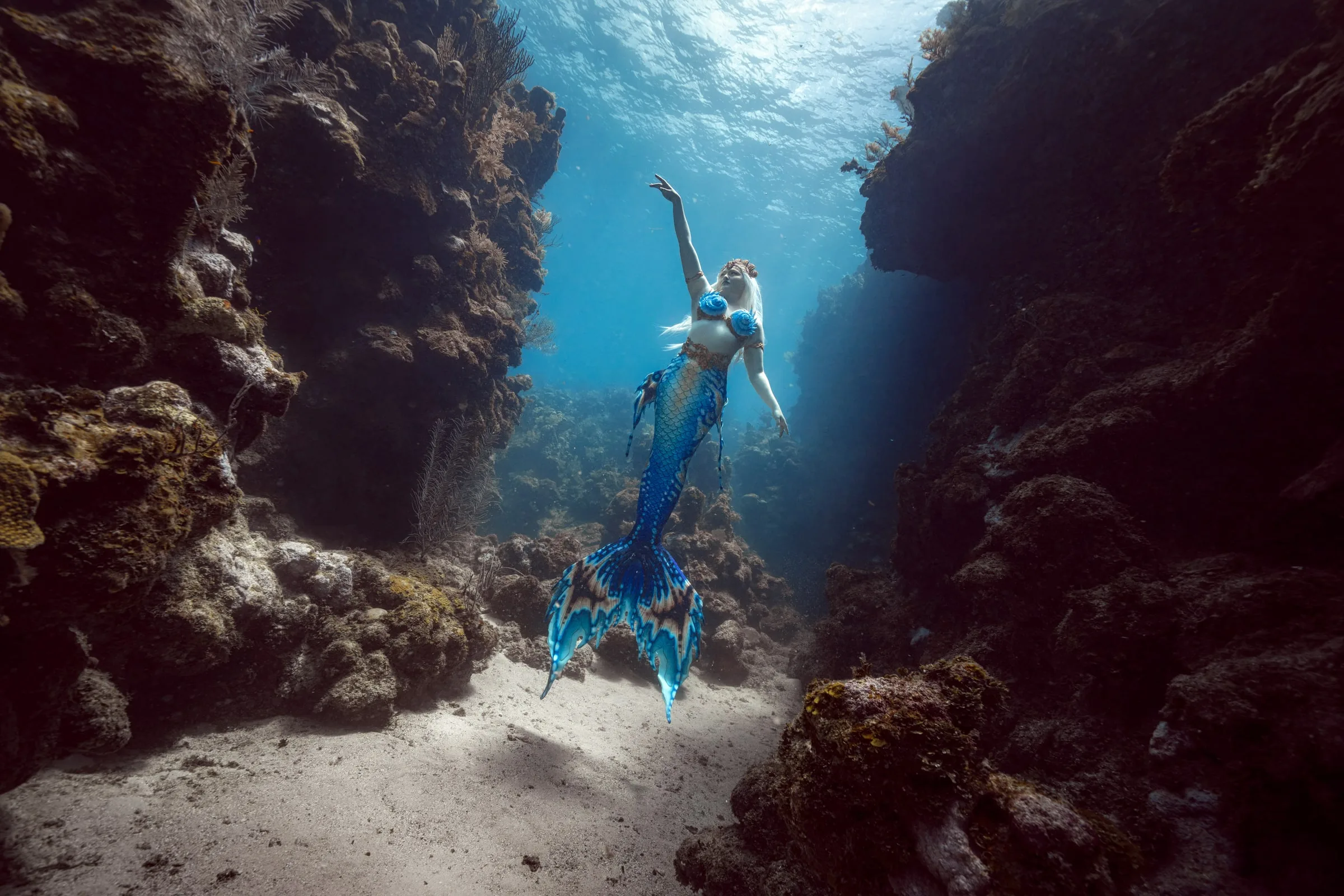 Roatán 2027: Dive Trip and Underwater Modeling Workshop: dsc02370