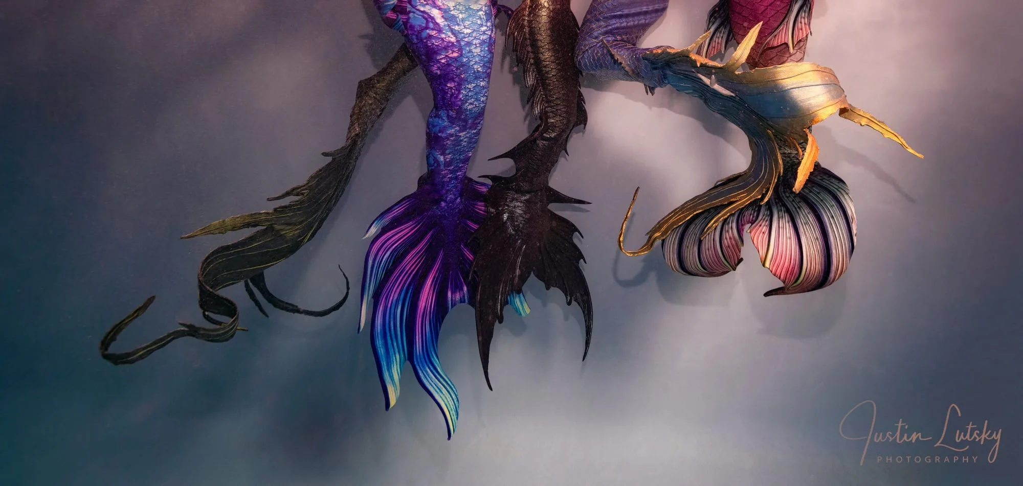 Photography: Mermaids: tails1 full
