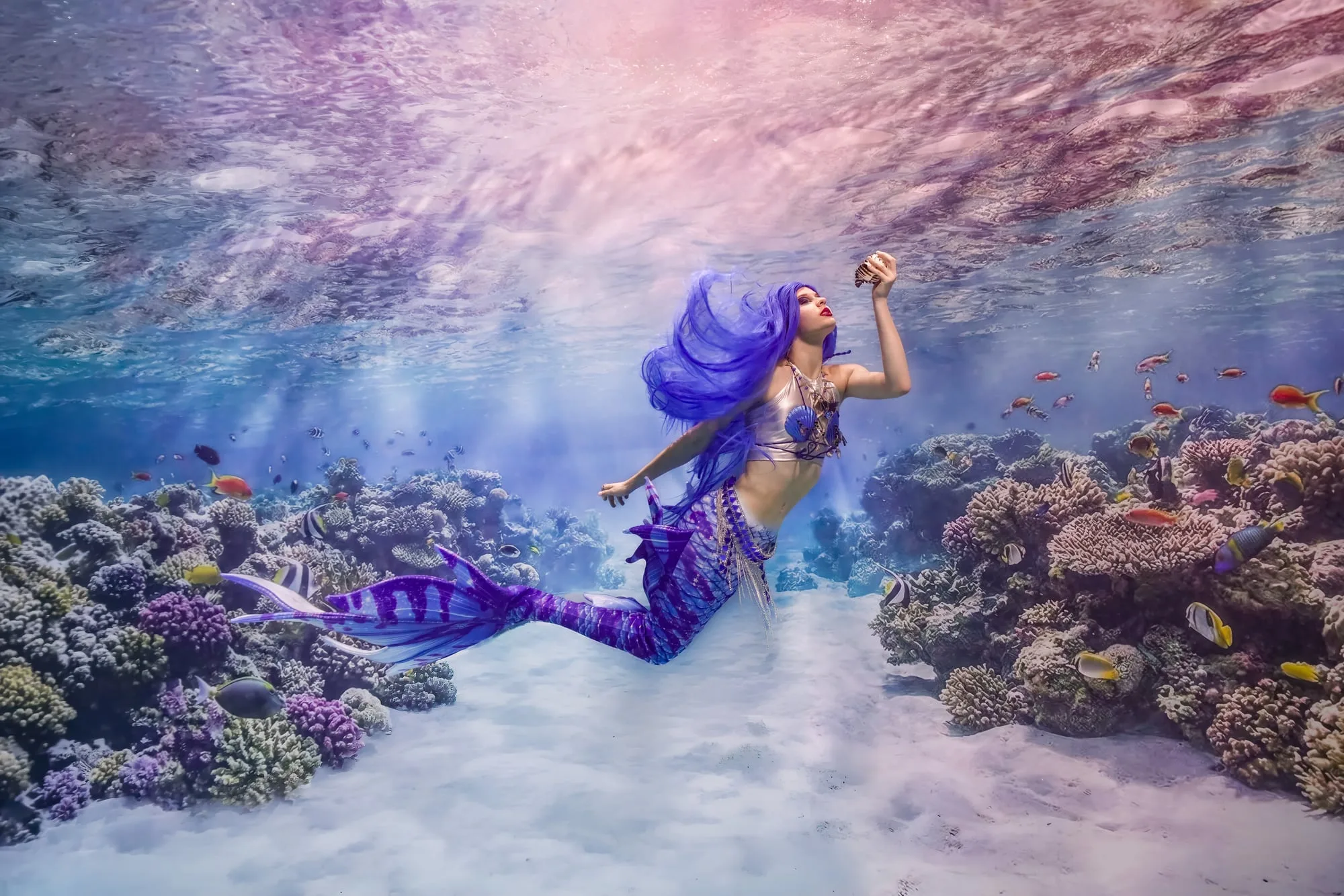 Photography: Mermaids: dsc08863