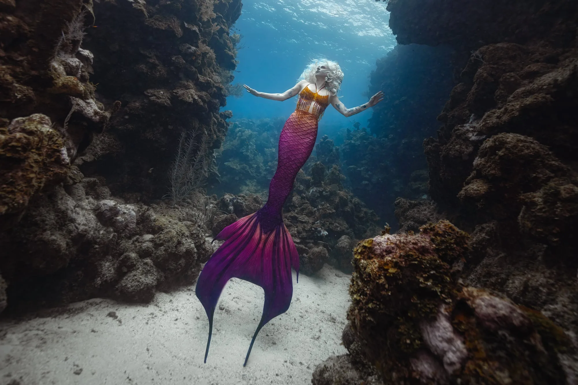 Photography: Mermaids: dsc02246 v3