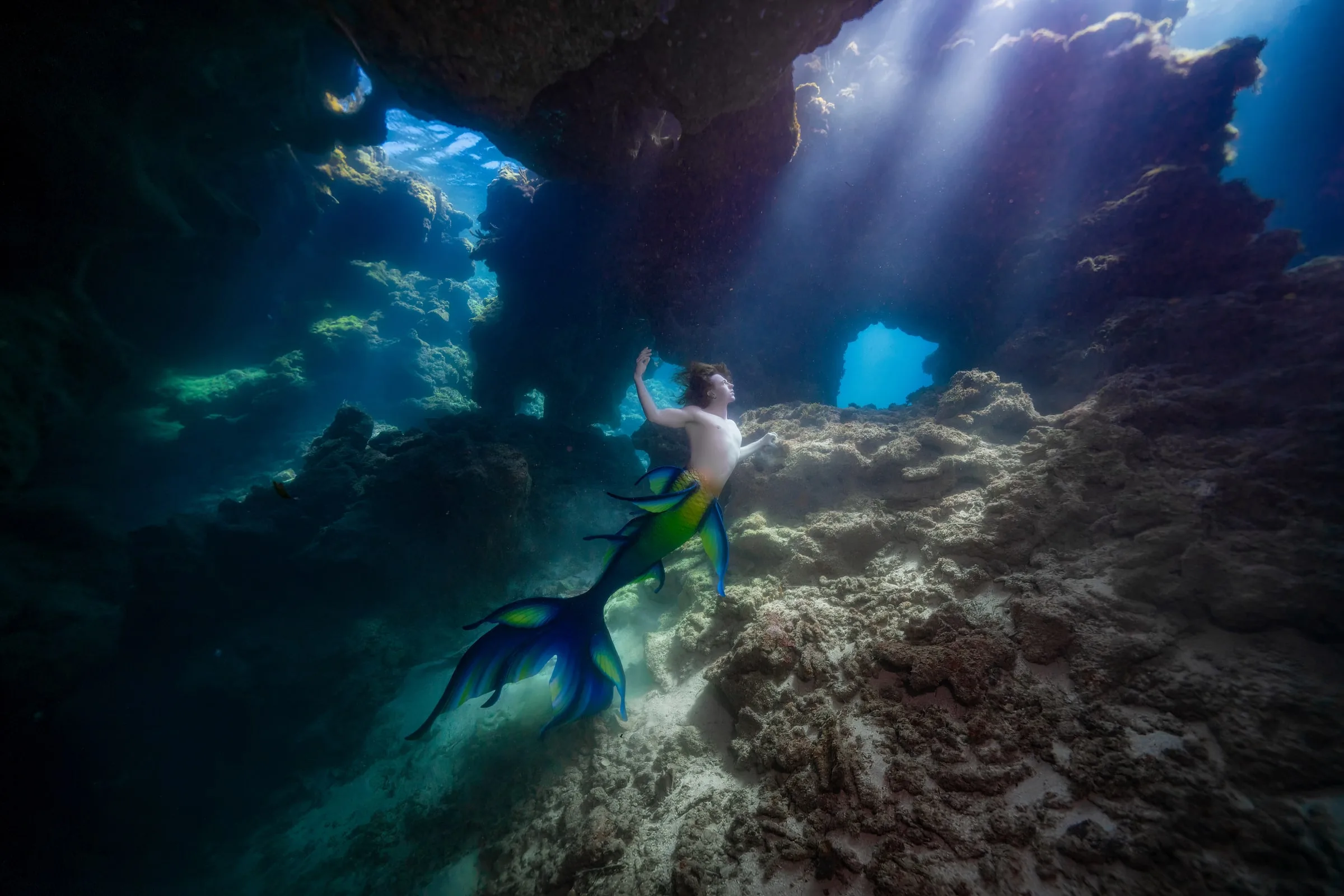 Roatán 2027: Dive Trip and Underwater Modeling Workshop: dsc02857 full