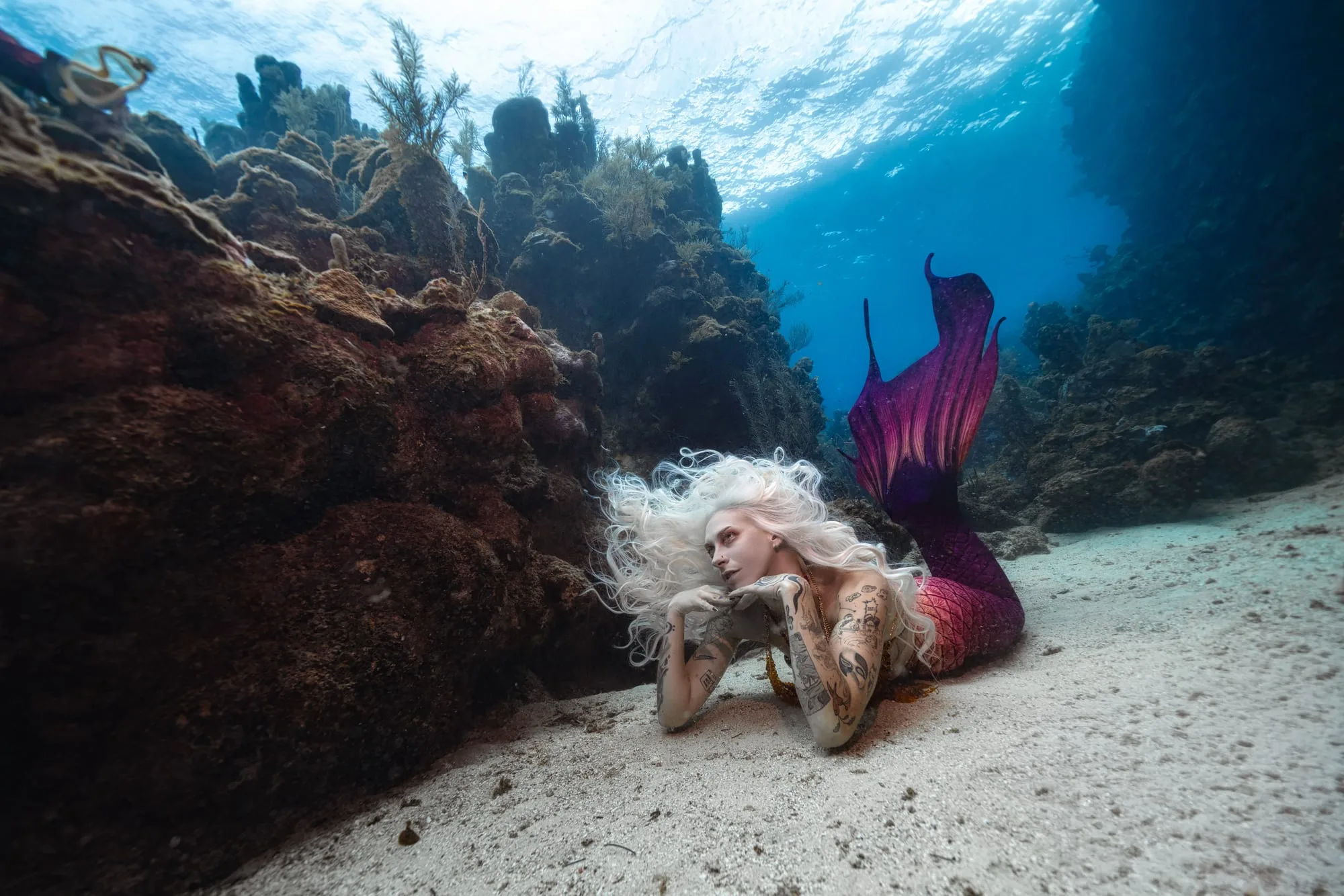 Photography: Mermaids: dsc02261