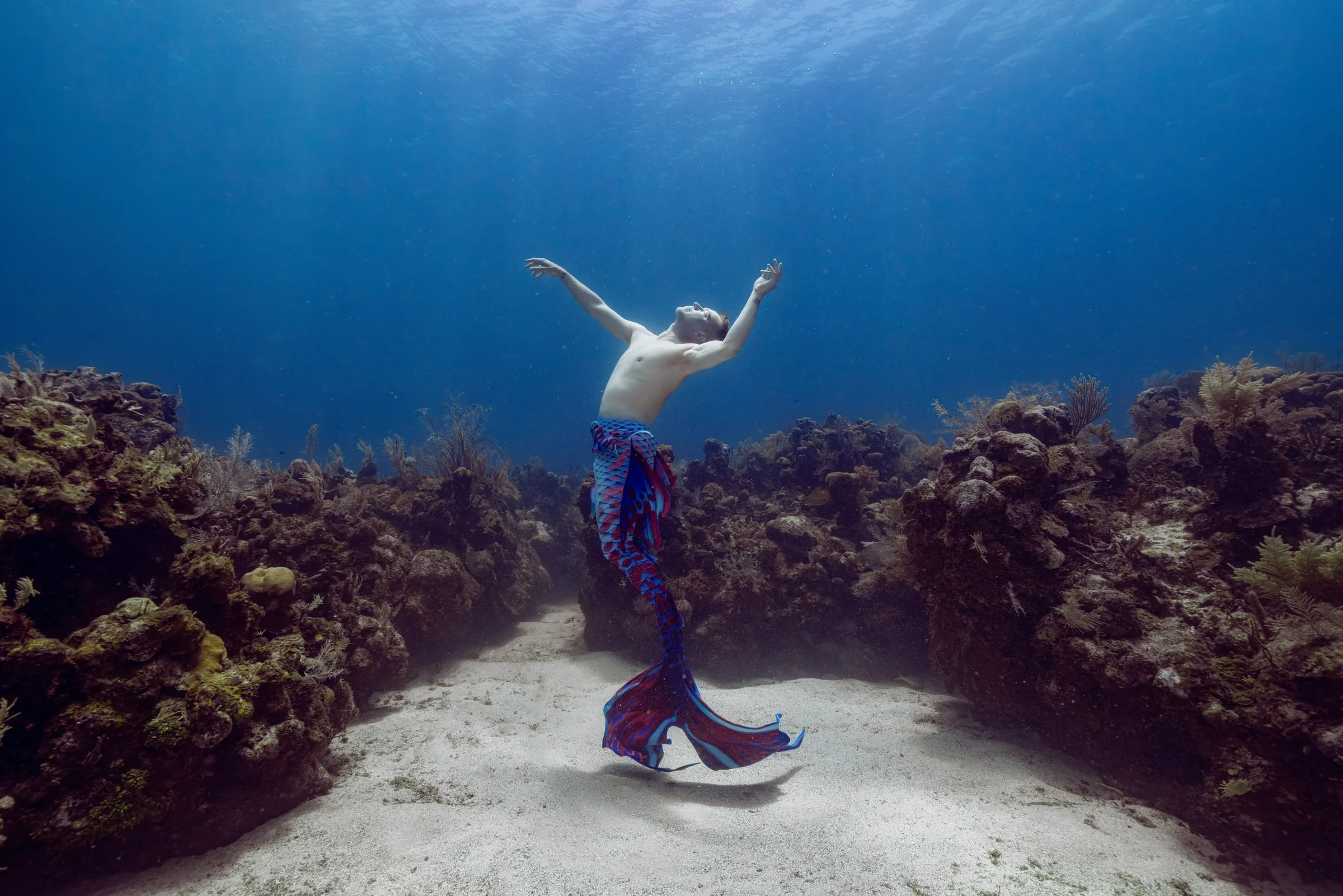 Roatán 2027: Dive Trip and Underwater Modeling Workshop: dsc00958 clean