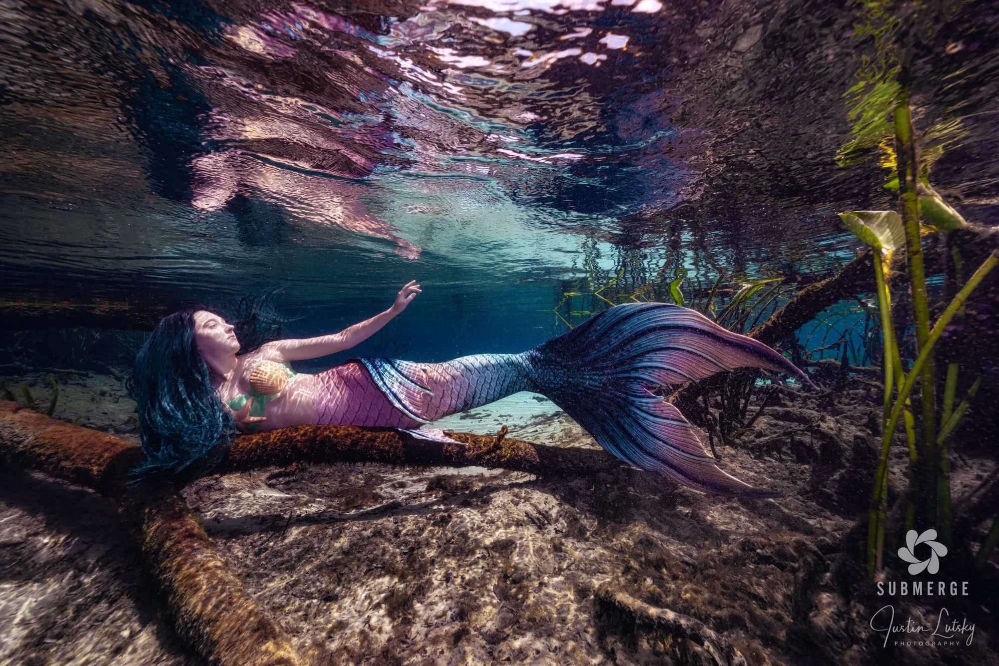 Photography: Mermaids: dsc02288 full