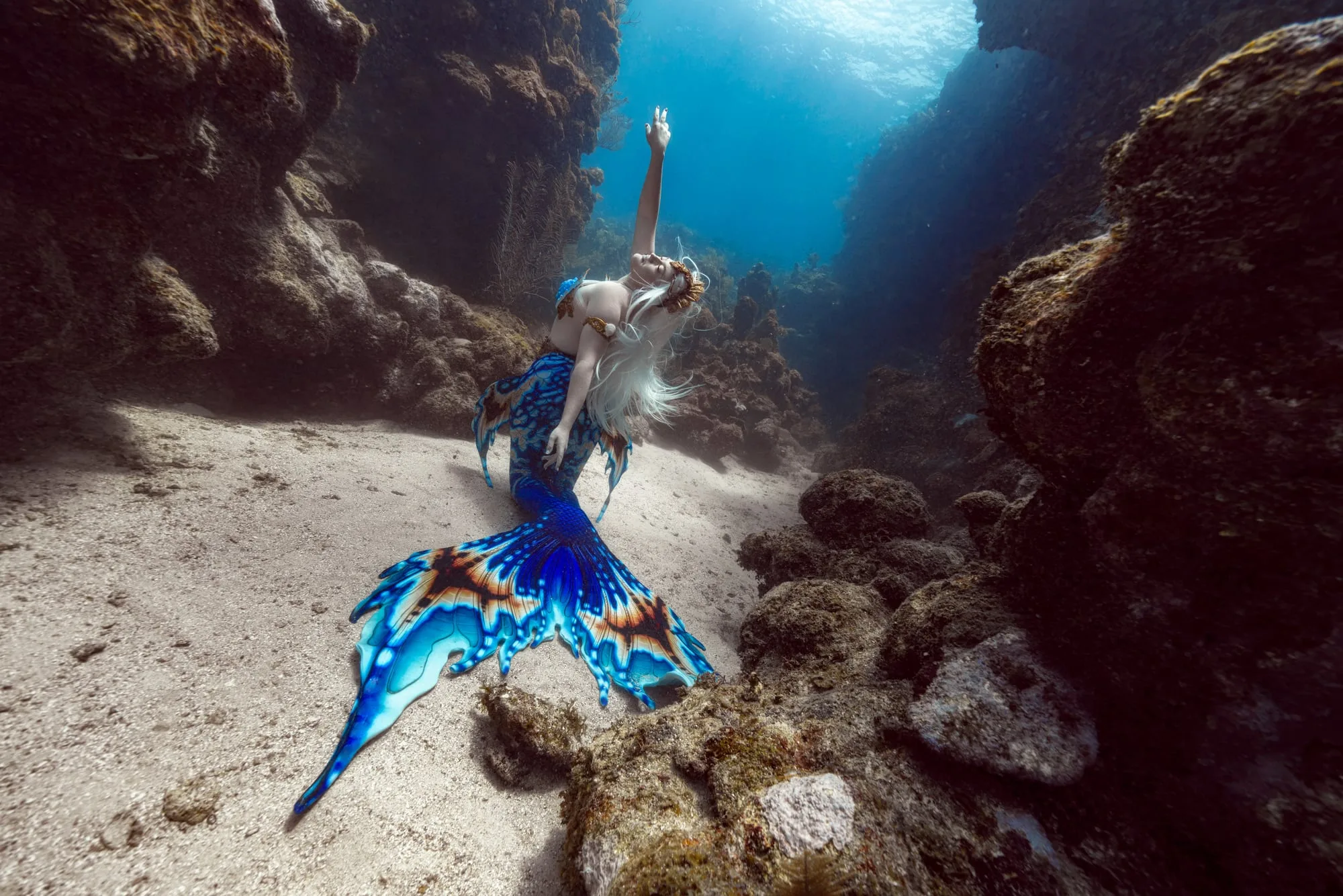 Photography: Mermaids: dsc02418