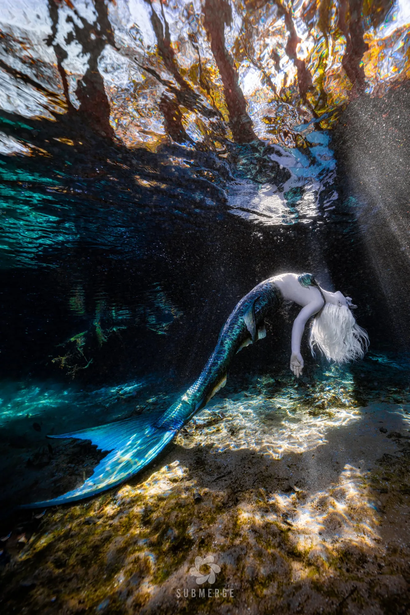 Photography: Mermaids: dsc08410 full