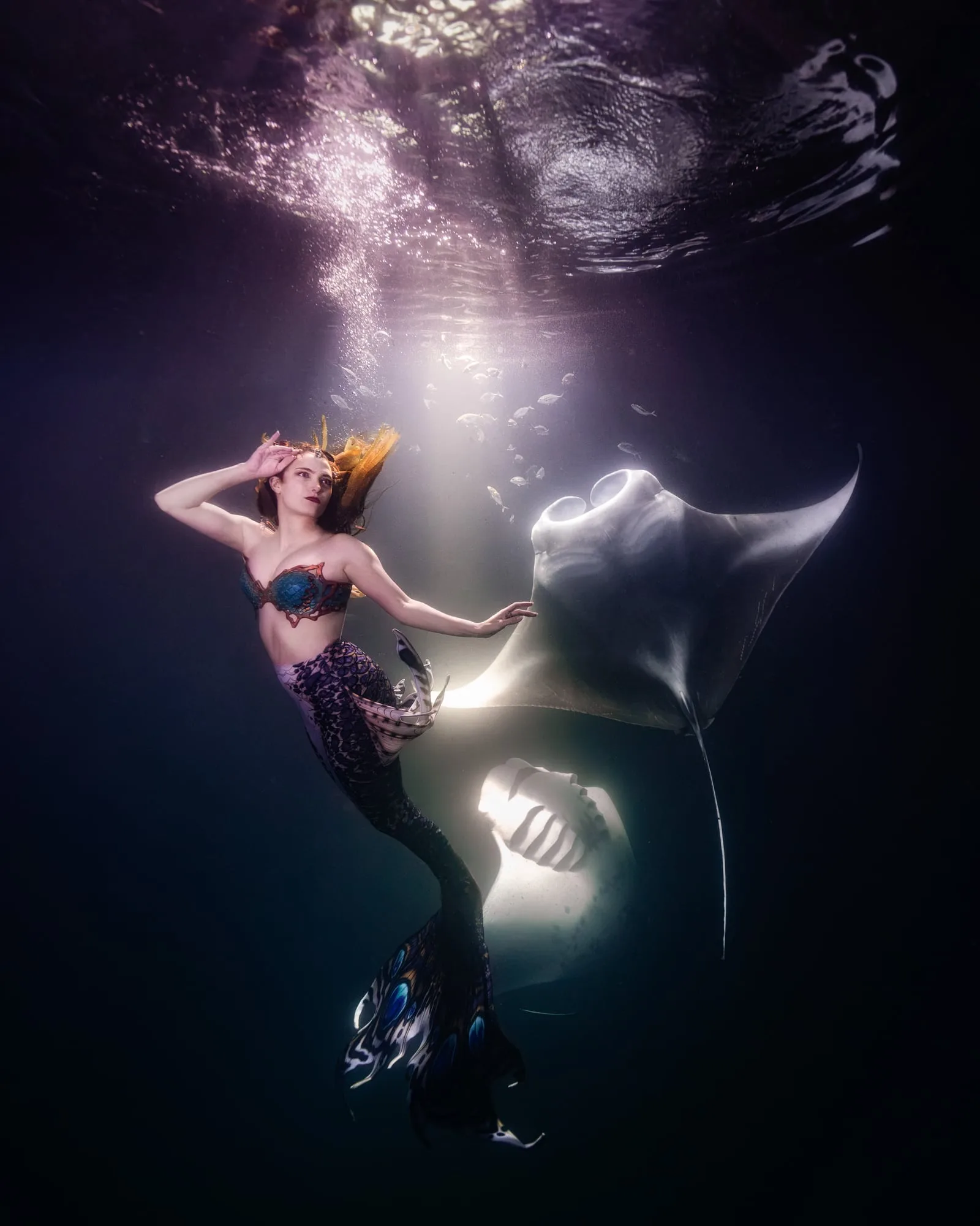 Mermaid Photography: dsc00022