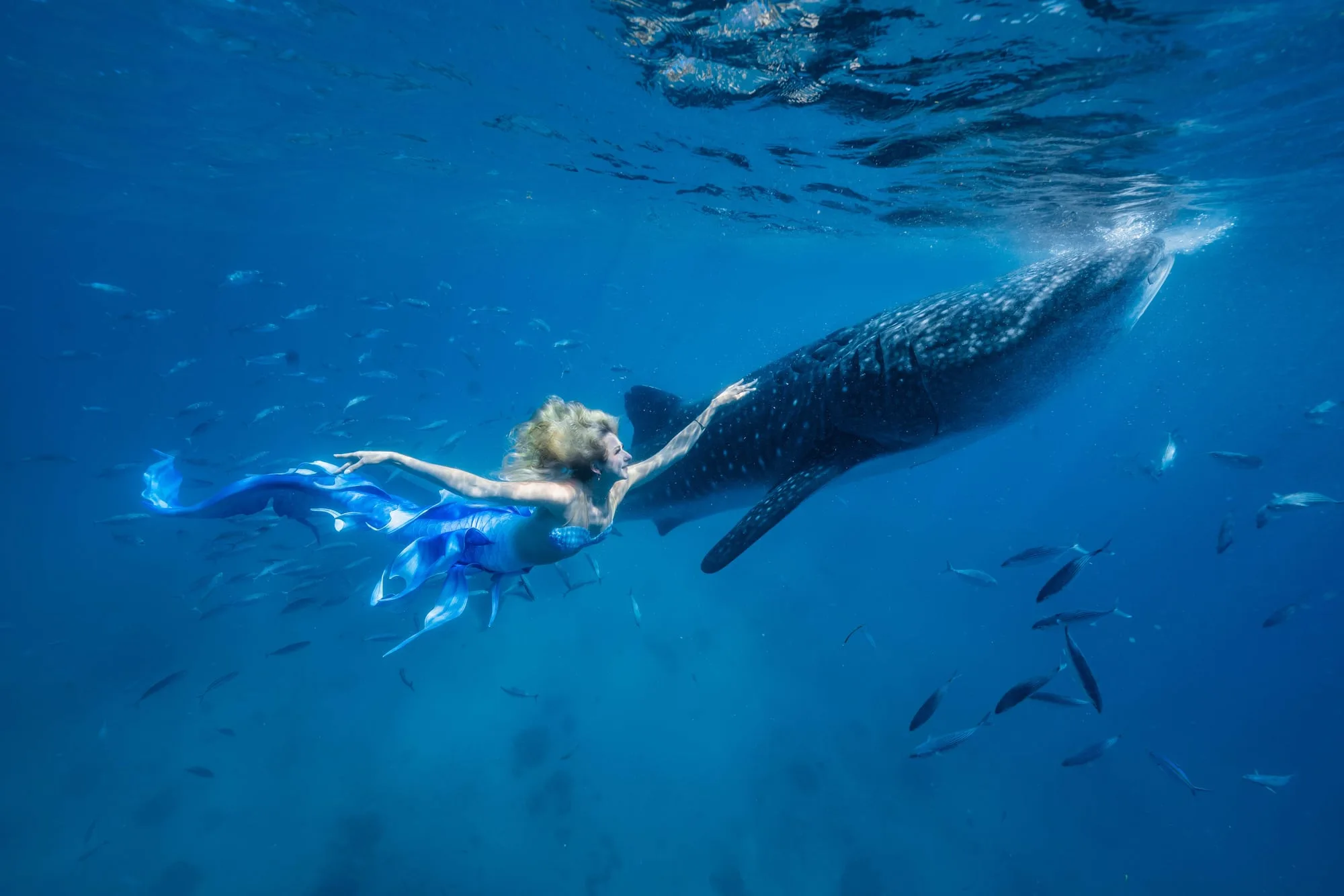 Mermaid Photography: divider 1