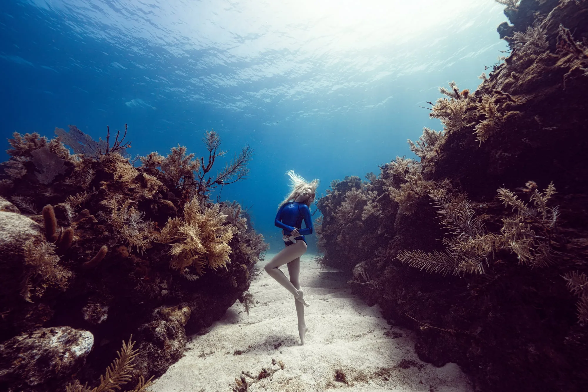 Freedive Photography: dsc00586 clean
