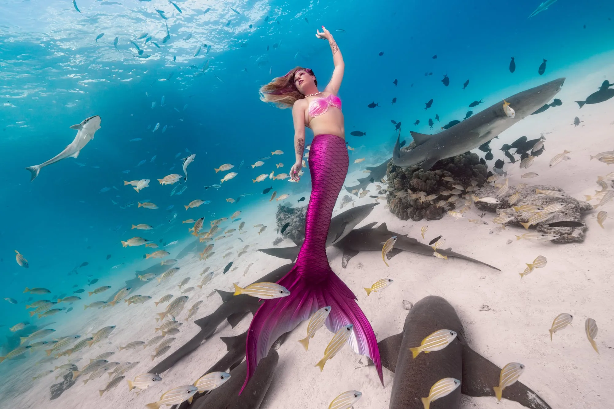 Mermaid Photography: venue ocean