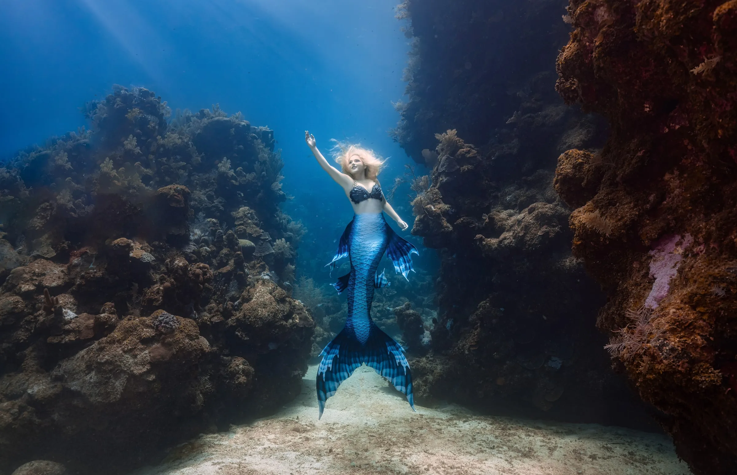 Roatán 2027: Dive Trip and Underwater Modeling Workshop: dsc02928 full