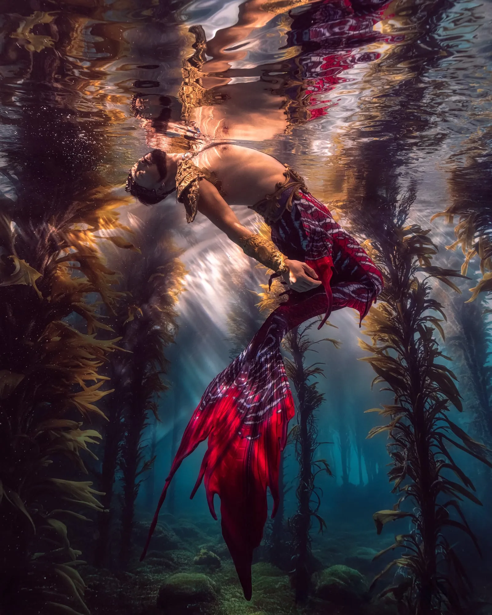 A person in a gold harness and a red and white tail floats head back through a kelp forest, sunbeams and their reflection above.