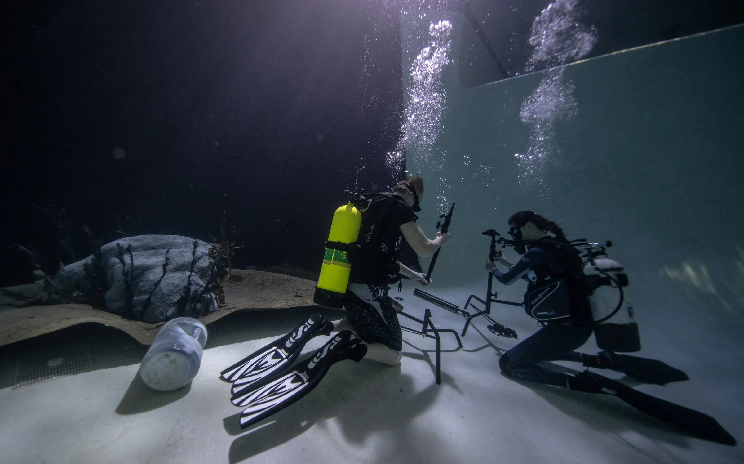 Underwater Film Production: dsc05032 4k