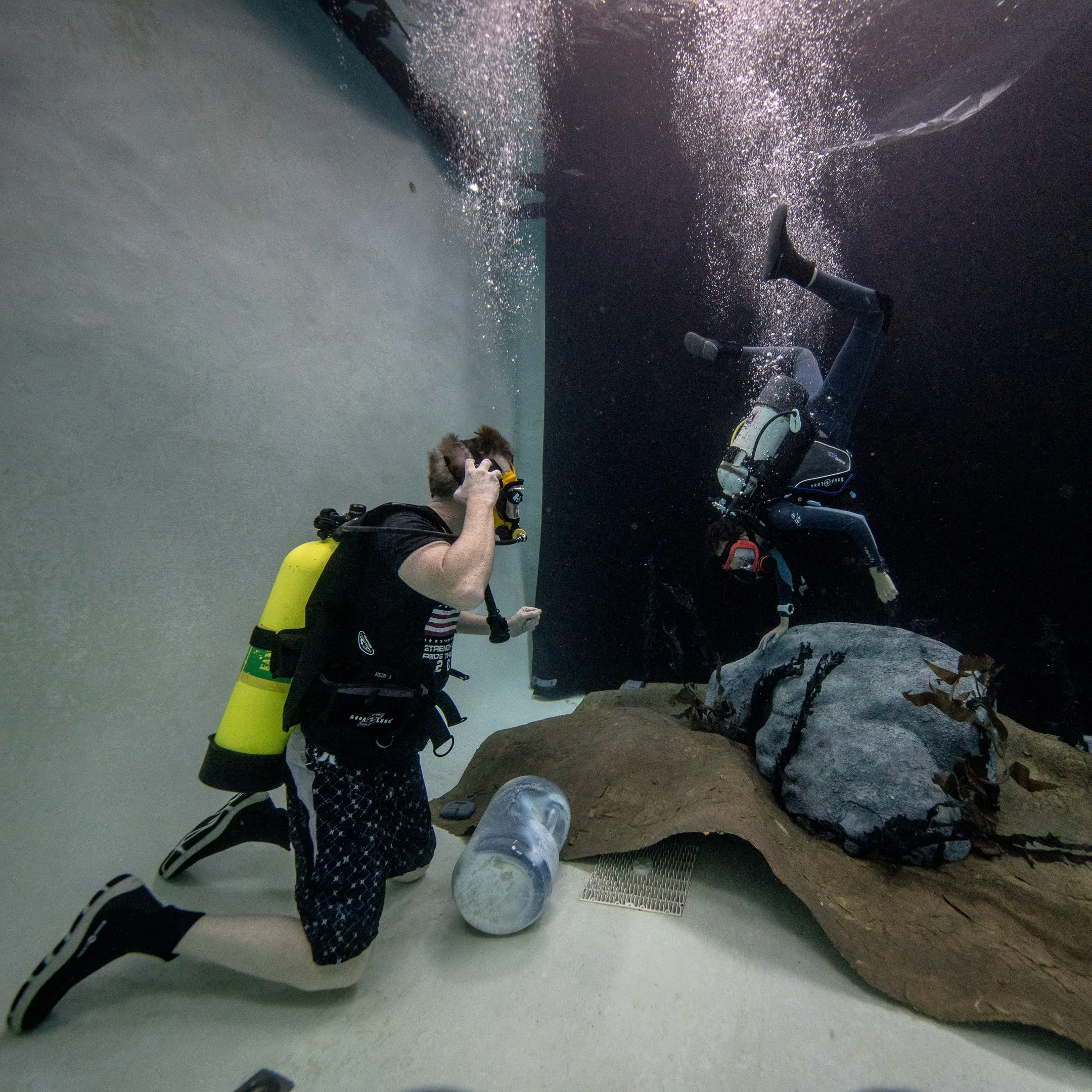 Underwater Film Production: dsc05093 4k