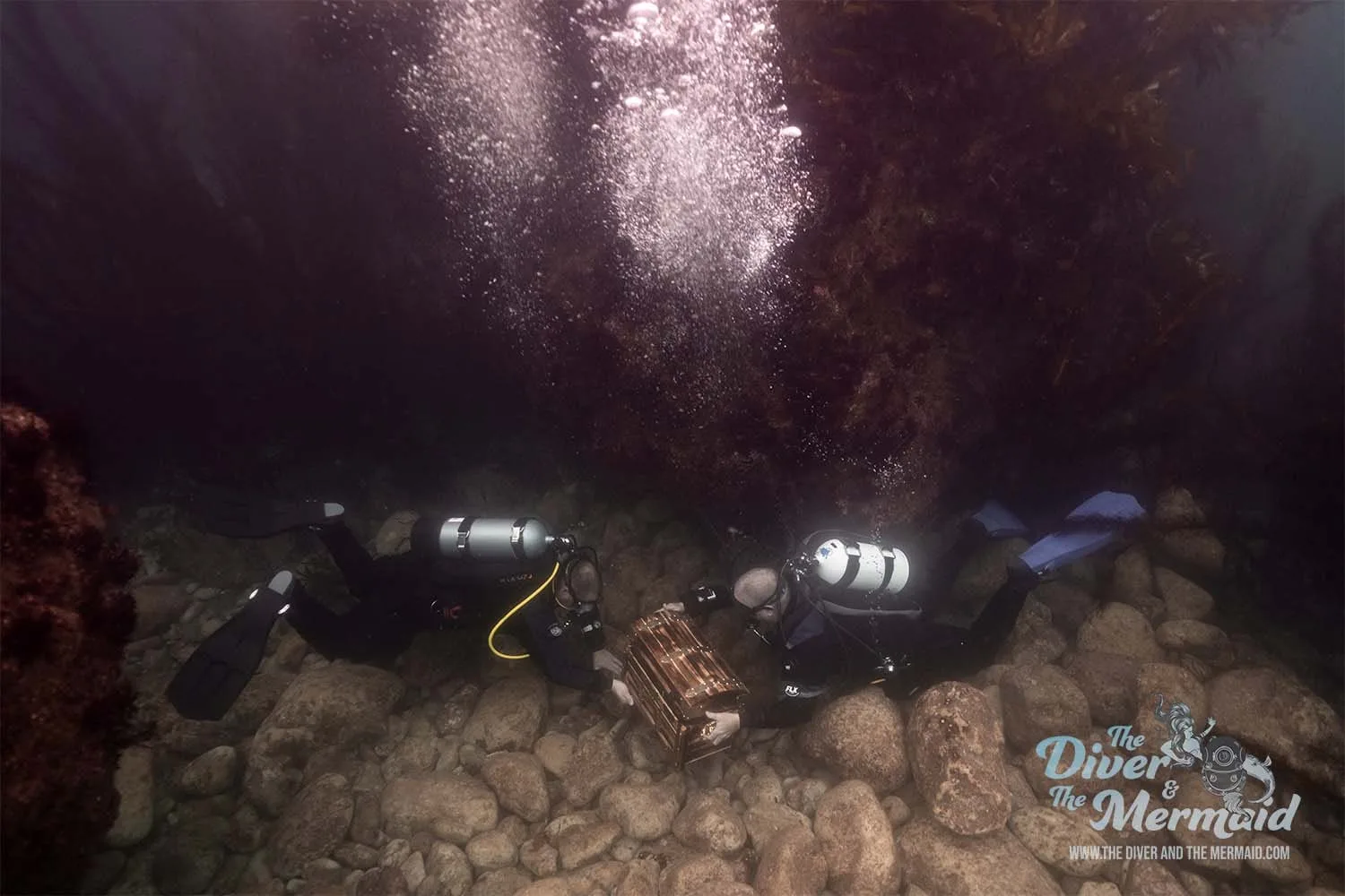 Underwater Film Production: dsc05619 full