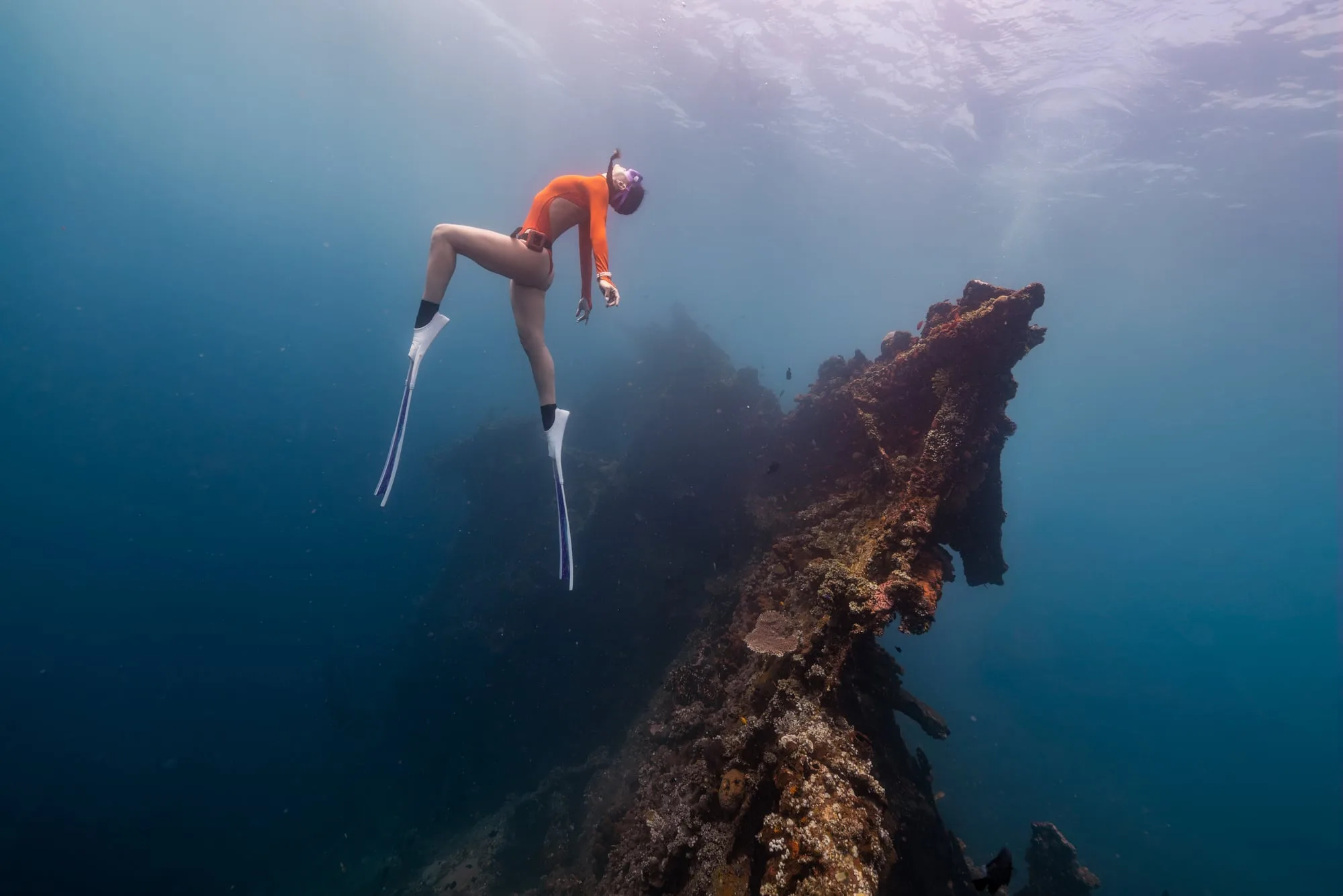 Freedive Portfolio: dsc05877 clean