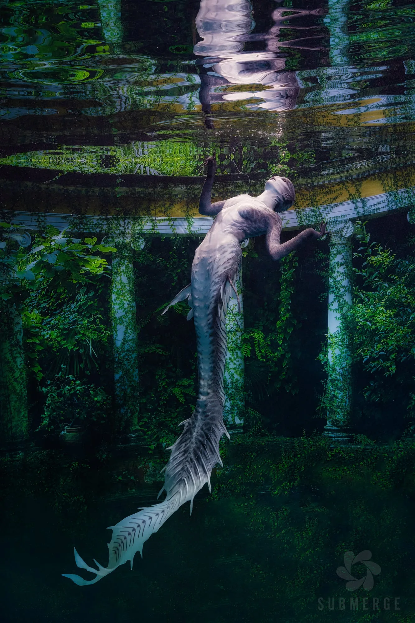 Mermaid Photography: dsc07123 full