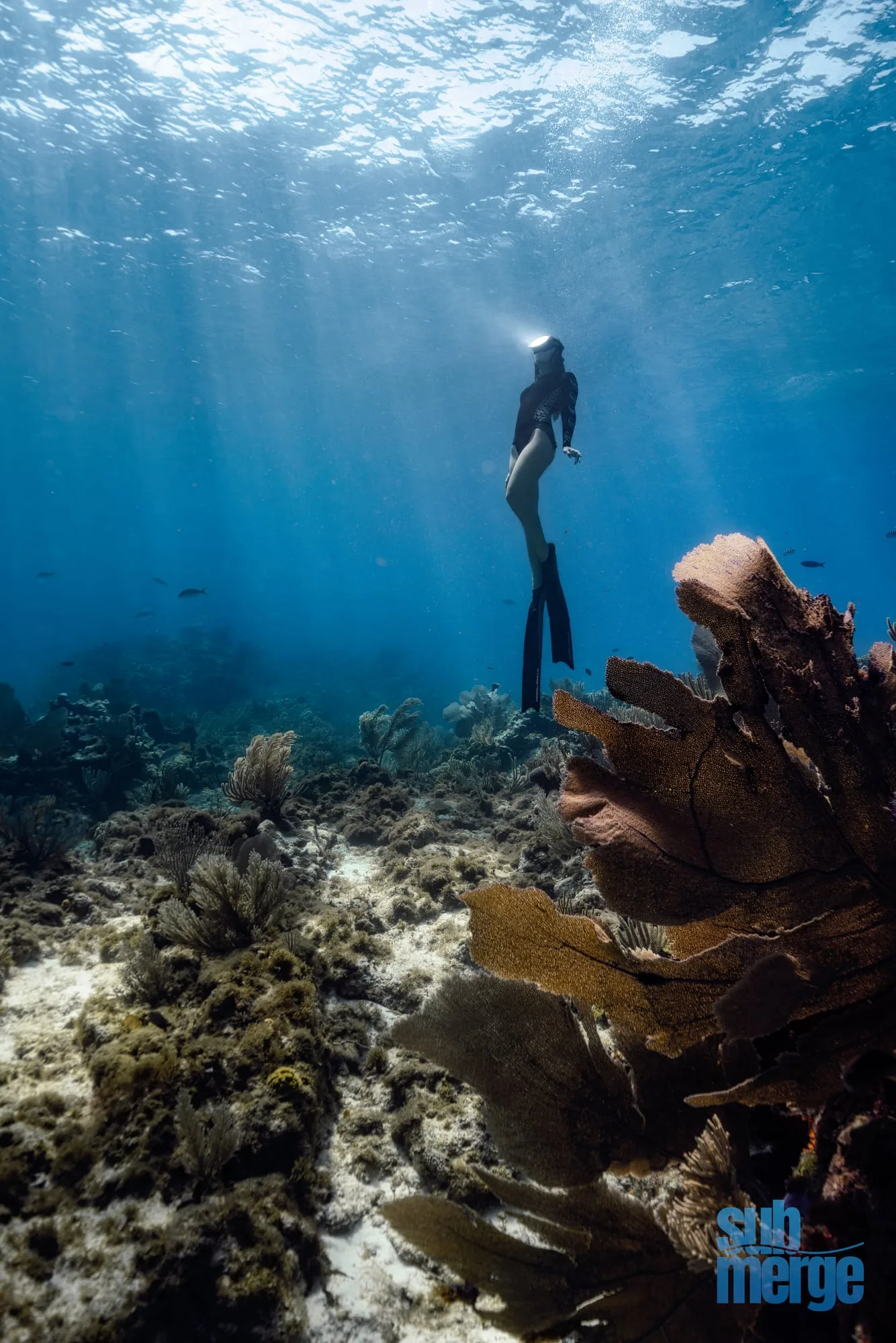 Freedive Photography: step deliver