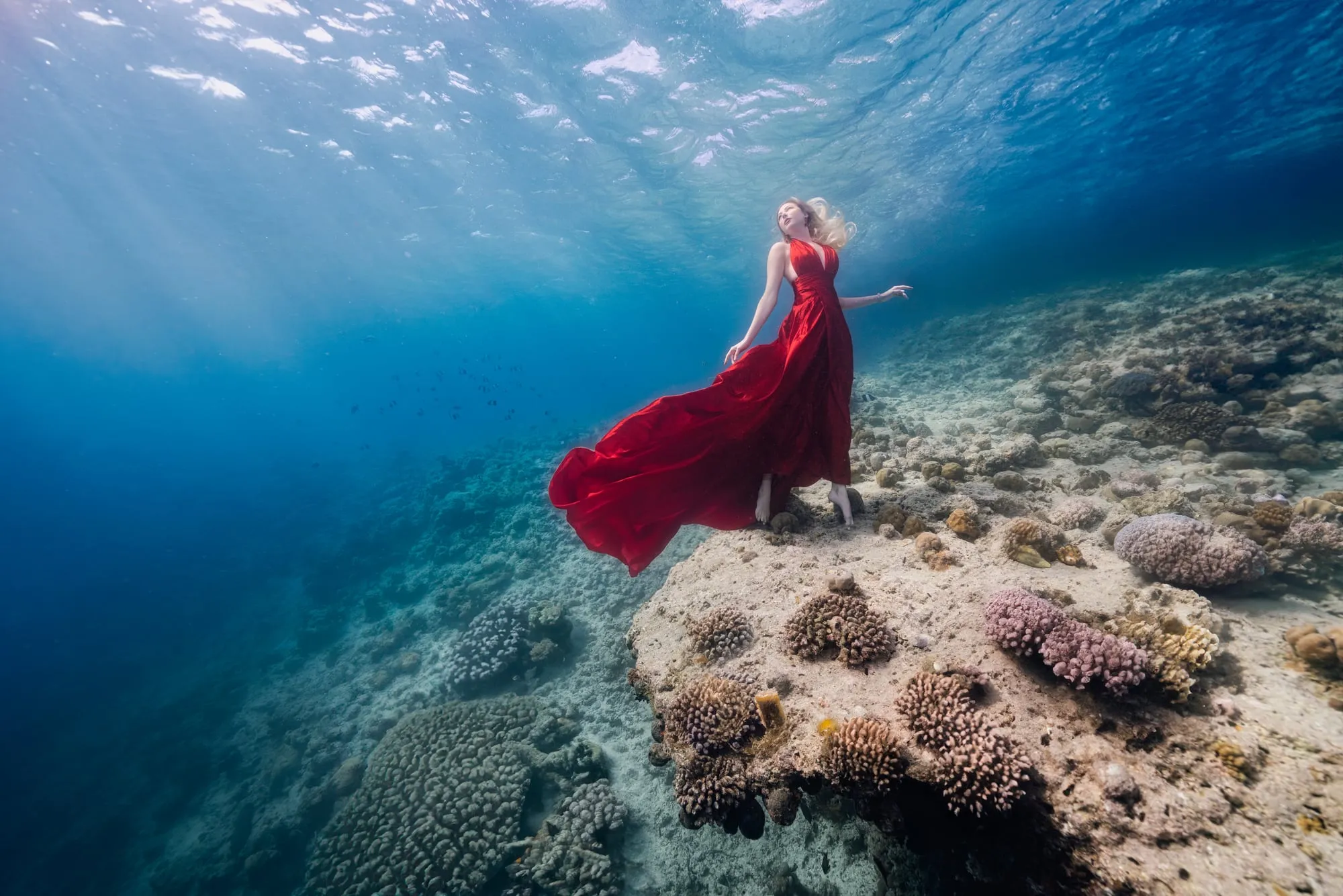 A woman in a long red gown stands on a coral head in the Maldives, her dress streaming behind her, sunbeams on the water.
