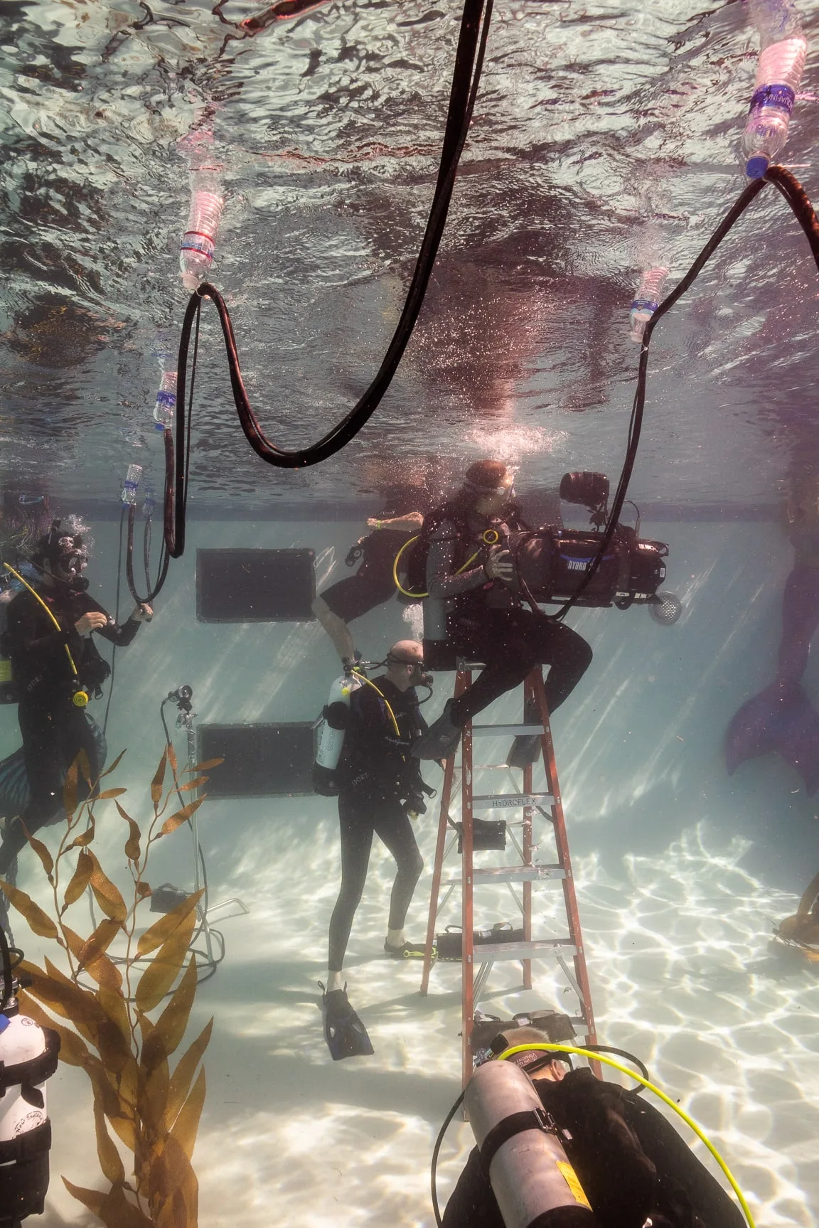 Underwater Film Production: dsc08023