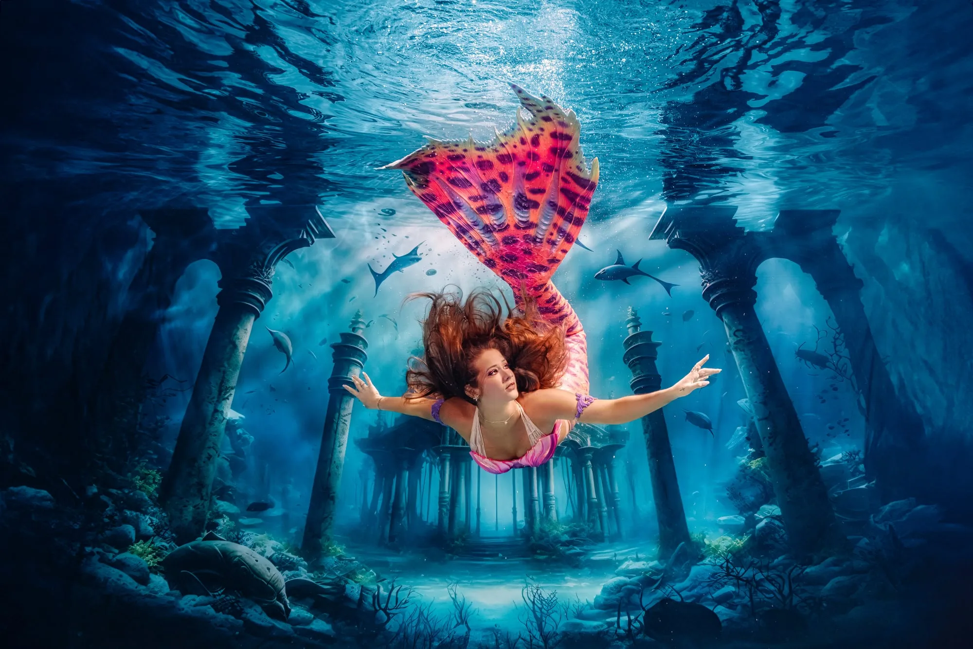 Mermaid Photography: dsc08342 clean