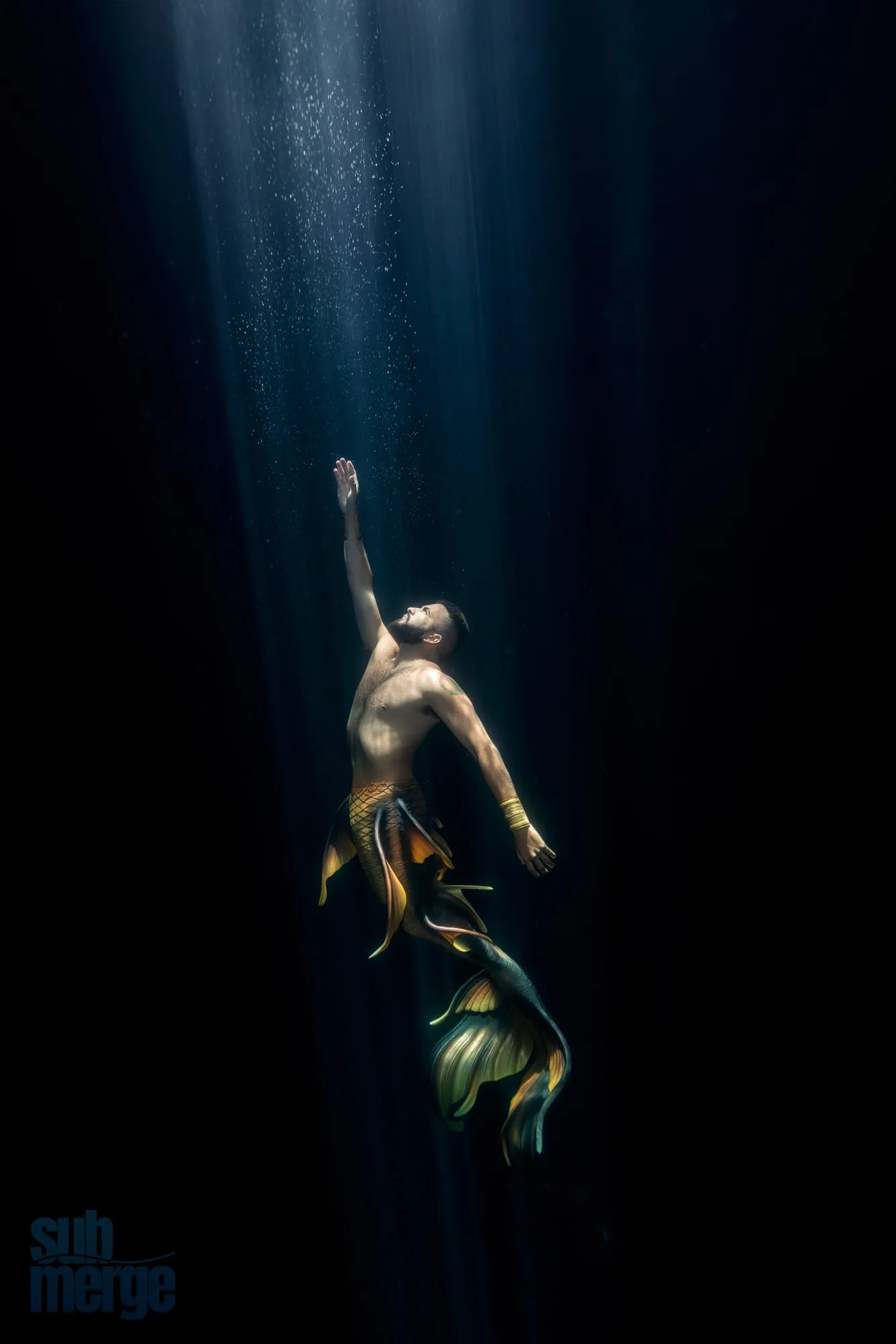Photography: Mermaids: dsc08626 full