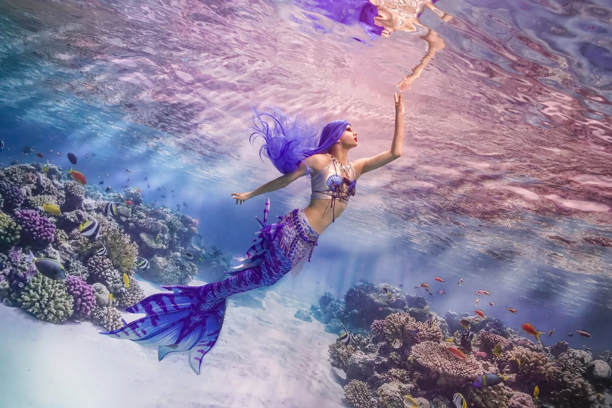 Mermaid Photography: break 2