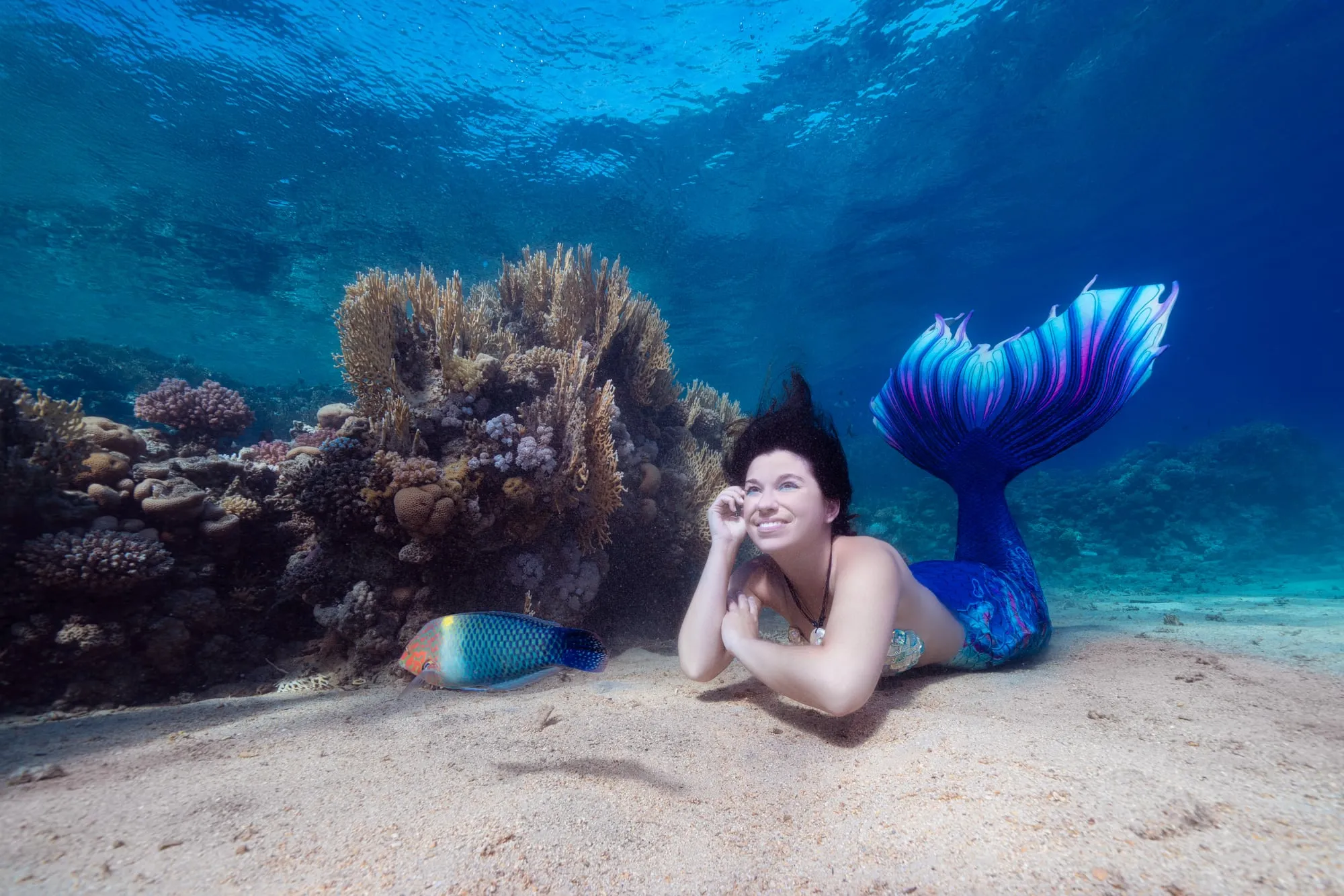 A mermaid with dark hair and a blue, violet and pink tail lies on white sand beside a coral reef, her chin on her hands and a wrasse nearby.