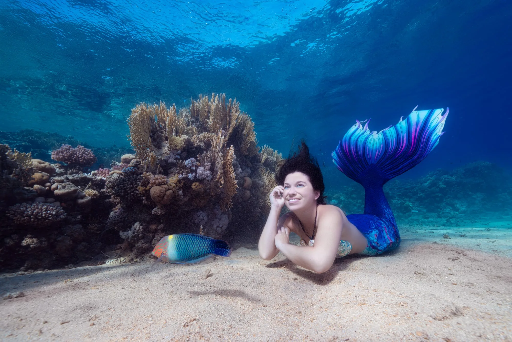 Mermaid Photography: divider 2