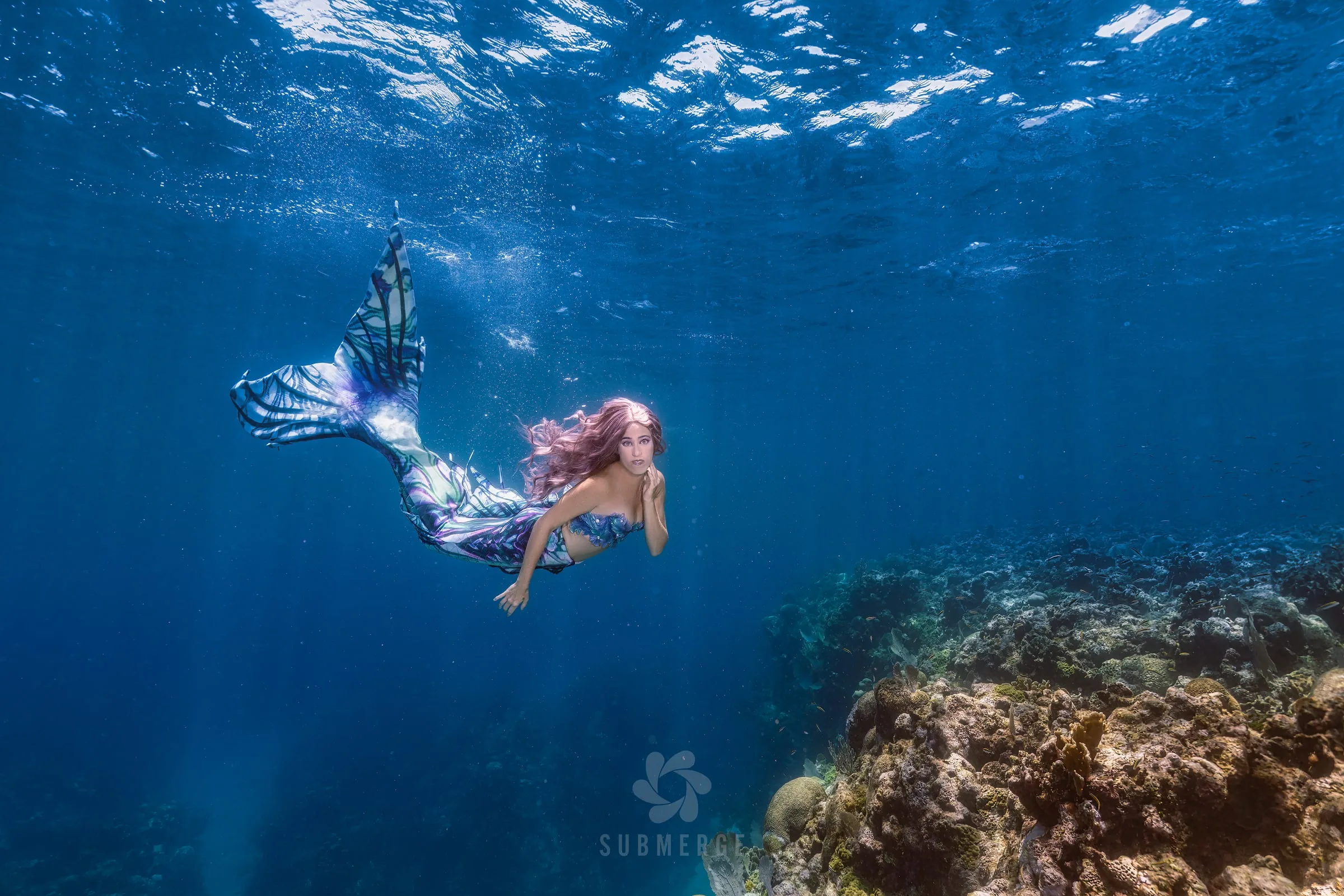 Roatán 2027: Dive Trip and Underwater Modeling Workshop: dsc00930 full