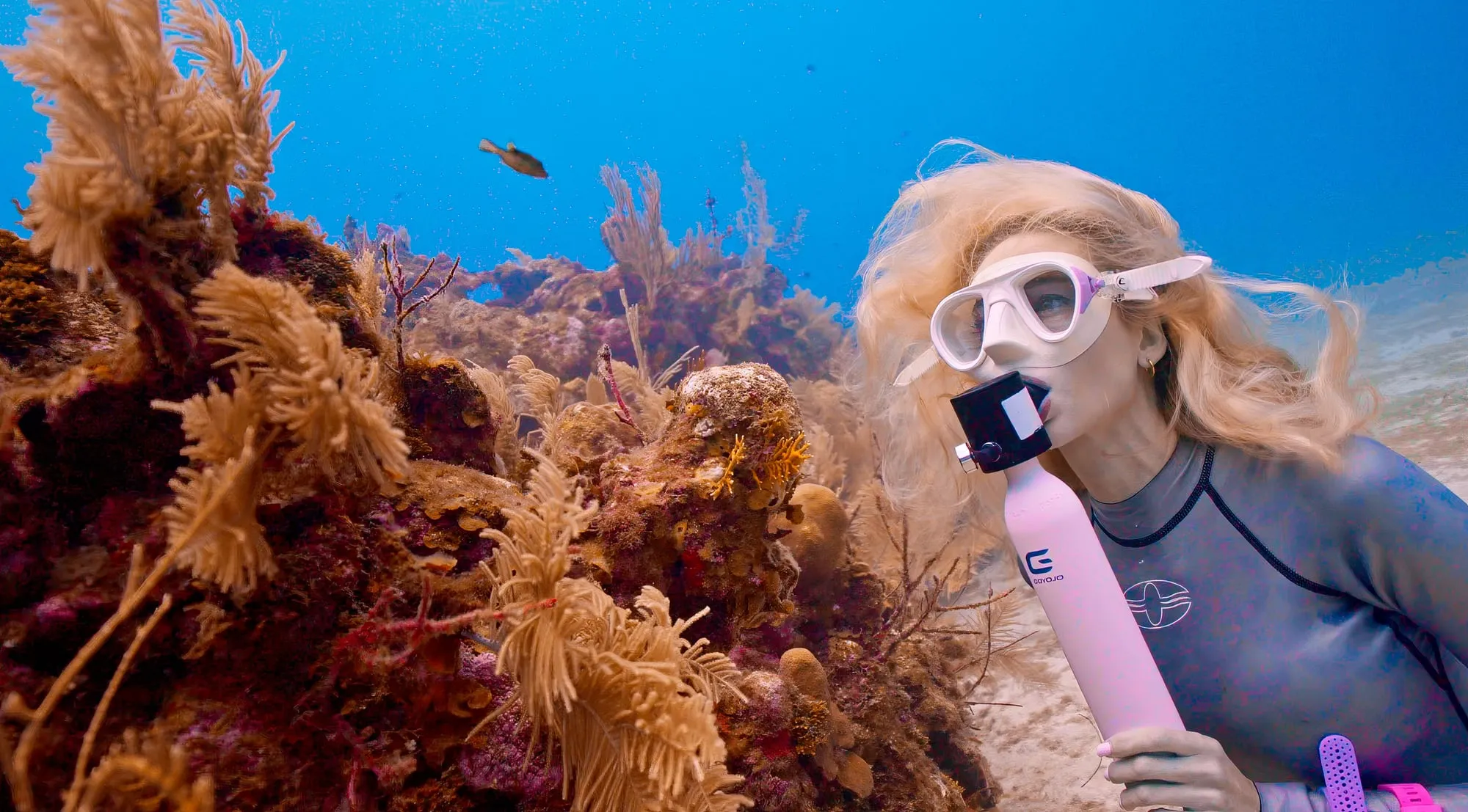 A blonde woman in a wetsuit and mask breathes from a small pink Goyojo tank beside orange sea fans.