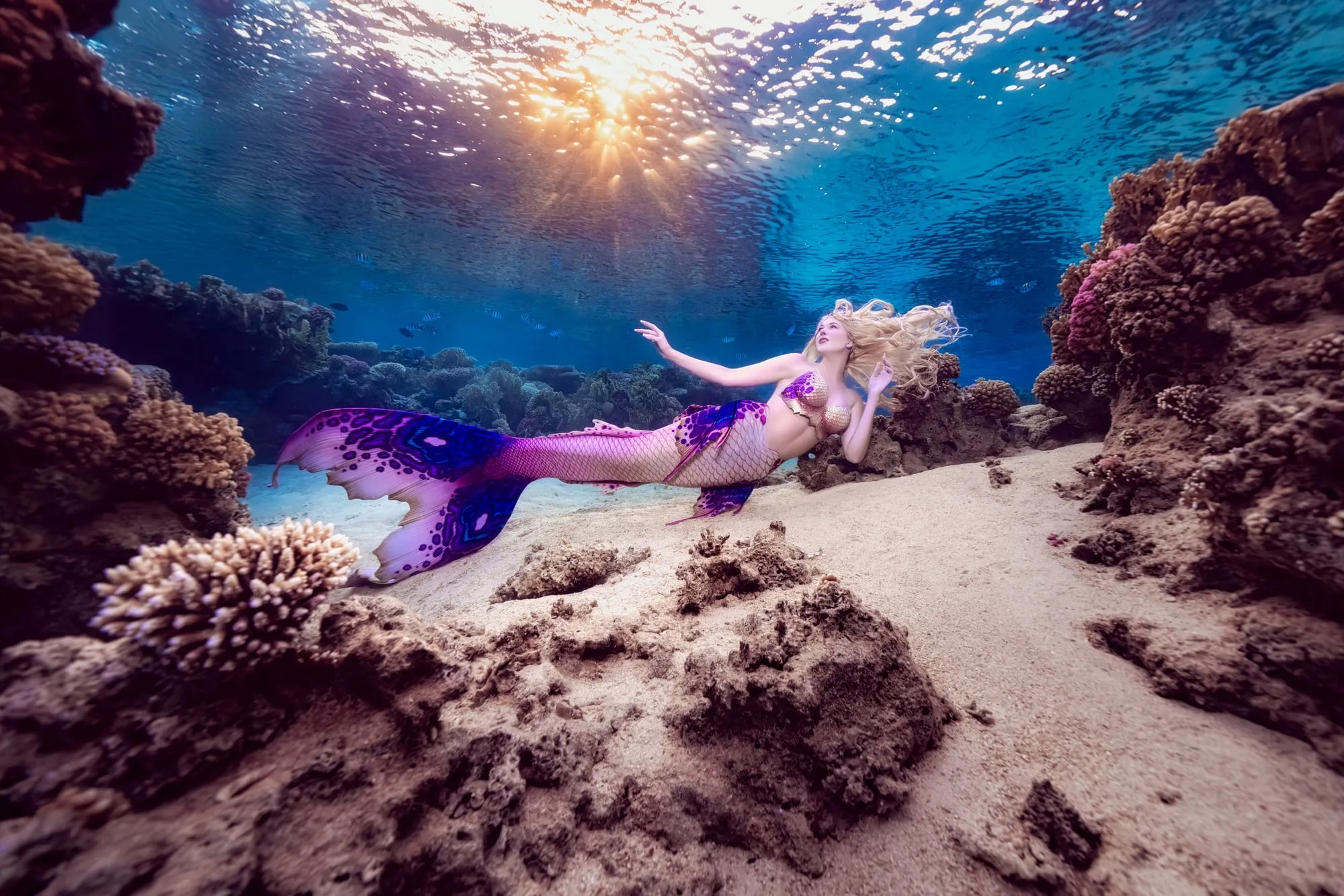 A blonde mermaid in a pink and purple tail reclines on pale sand beside a coral head, one arm reaching out, with sunlight bursting through the water above a reef.