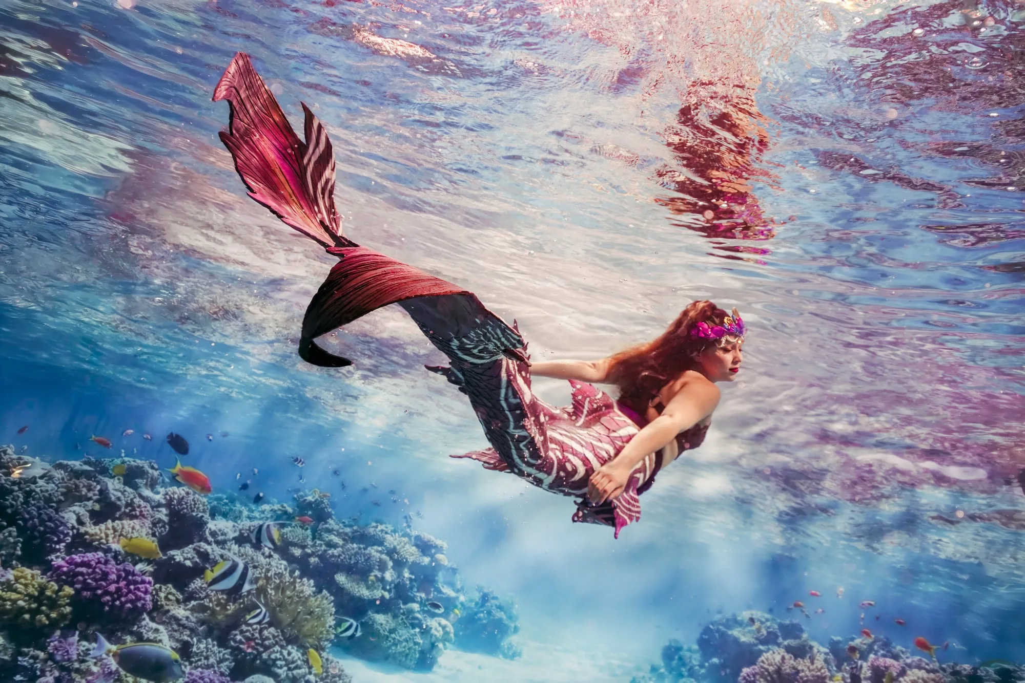 Photography: Mermaids: hero
