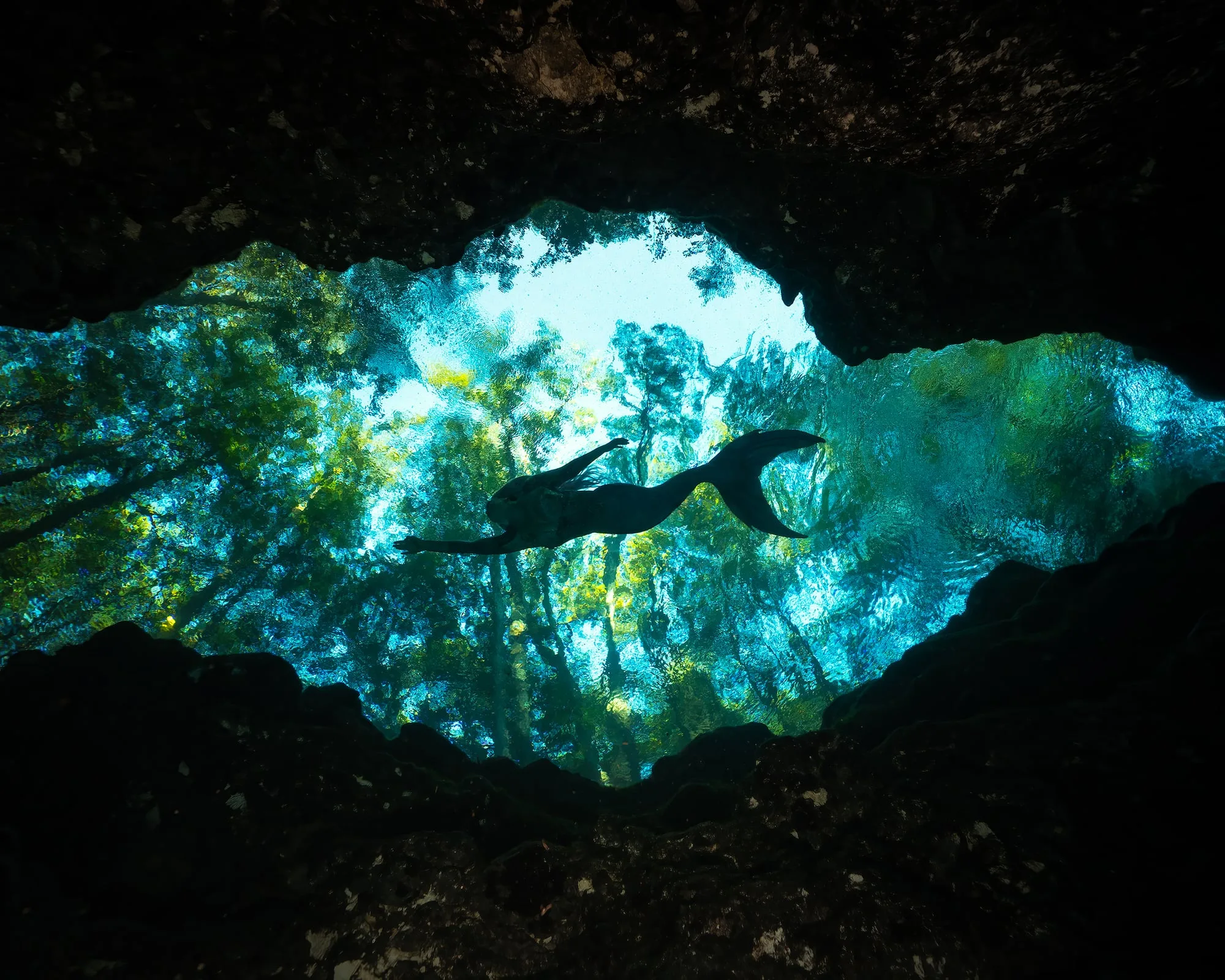 Featured Frames: mermaidsilhouette dsc06679 8x10 srgb wid