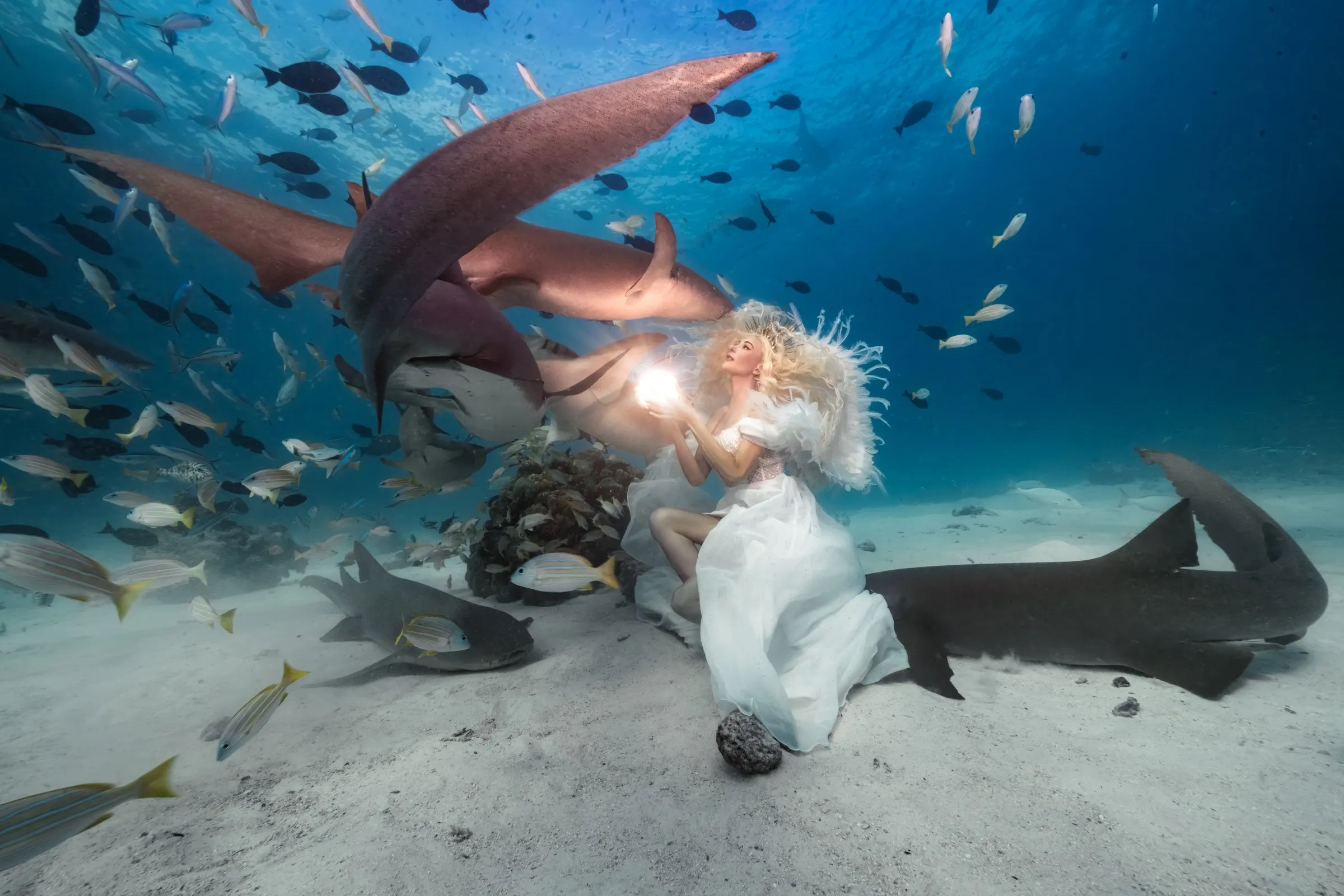 A woman in a white feathered gown kneels on pale sand holding a glowing orb, nurse sharks and a cloud of reef fish swimming above her in bright blue water